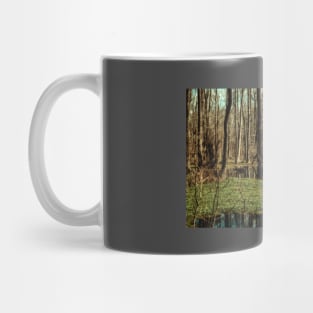 Swamp in Southeastern Georgia Mug